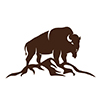 Wyoming Buffaloes